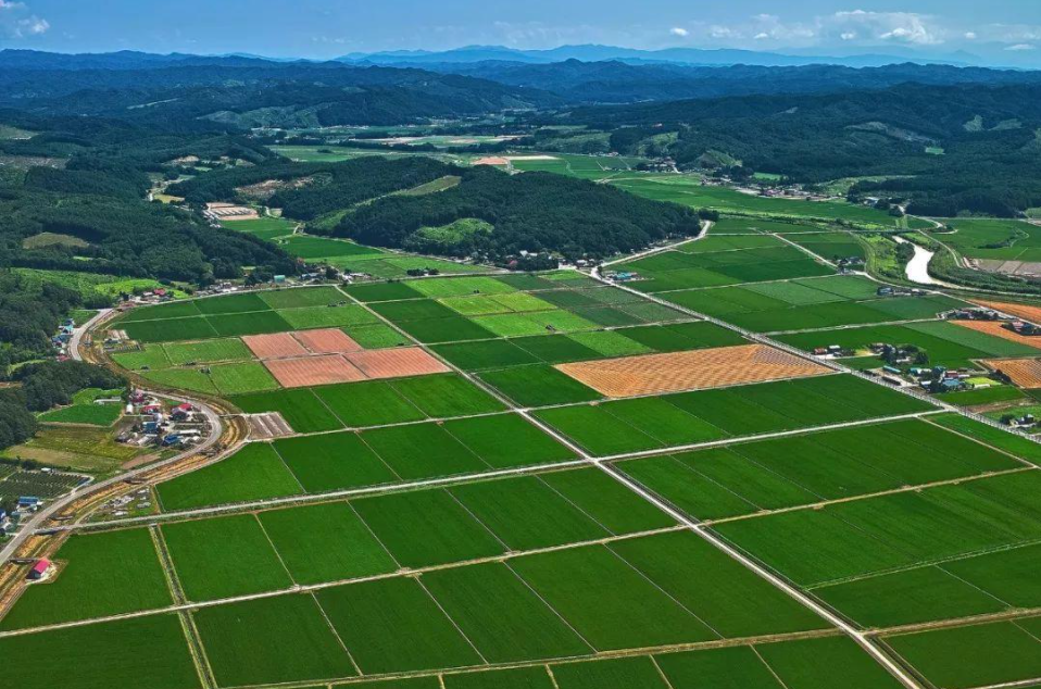 如何對航空攝影進行質量控制